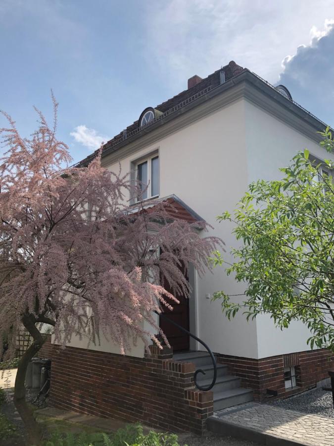 ドレスデン Haus Welzelヴィラ エクステリア 写真